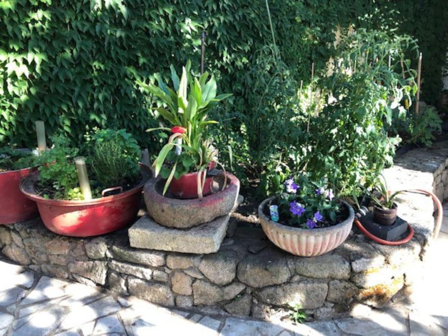 Loft La Perriere, Un Oasis En Pleine Ville شوليه المظهر الخارجي الصورة
